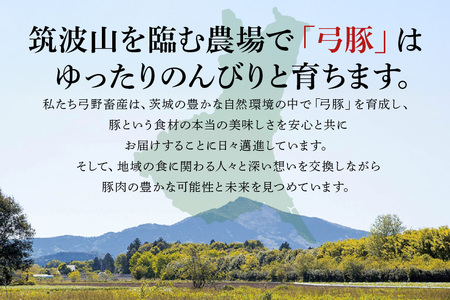 弓豚 ロース セット 3kg 豚肉 和豚 銘柄豚 肉 ロース ブロック スライス しゃぶしゃぶ用 国産 高品質 希少 産地直送 ヘルシー 家庭用 ギフト 冷凍 【先行予約 2026年3月以降発送予定】 (C01-012)