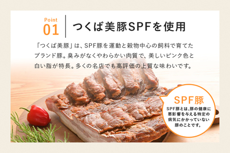 ポークジャーキー5P 豚肉 ジャーキー 乾燥肉 おつまみ おやつ スナック お酒のおつまみ お肉 肉加工品 保存食 小分け 食べきり 常温便 茨城県産 おかず 家族向け とやま荘ハム 茨城県 石岡市 (C07-005)