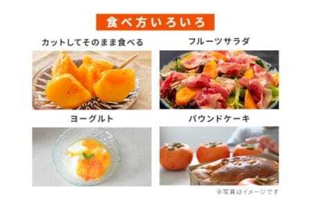 【 2026年 先行予約 】 富有柿 2L 28玉 (14玉×2段箱) 坂川果樹園 柿 甘い柿 かき 富有カキ 甘い 果物 フルーツ くだもの カキ 富有かき 秋 旬 甘柿 糖度 贈答用 贈答品 ギフト 贈り物 品種 ブランド 11月 12月 発送 産地直送 農家直送 産直 茨城県 石岡市 (A20-002)