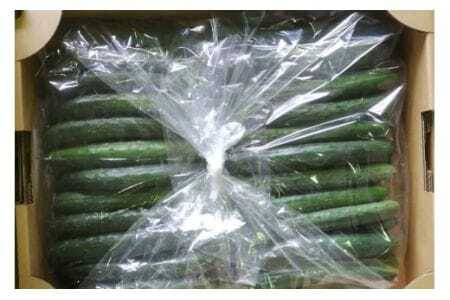 キュウリ 5kg きゅうり 胡瓜 夏野菜 常温便 新鮮 国産 茨城県産 野菜 夏 旬 産地直送 農園直送 ベジタブル グリーン サラダ 一本漬け 浅漬け 家庭用 業務用 フレッシュ 茨城県 石岡市 (A33-002)