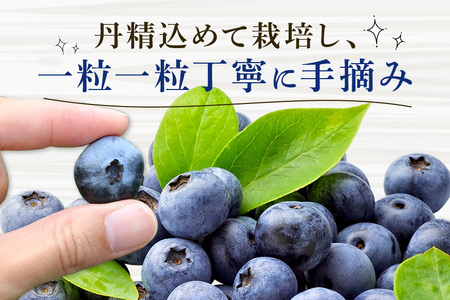 ブルーベリー 1680g ( 280g 6パック ) 生 手摘み 新鮮 完熟 冷蔵 農薬 栽培期間中 不使用 果物 フルーツ 国産 産地直送 農家直送 産直 夏 7月 8月 発送 くだもの アントシアニン 茨城 茨城県 石岡市 (F09-001)