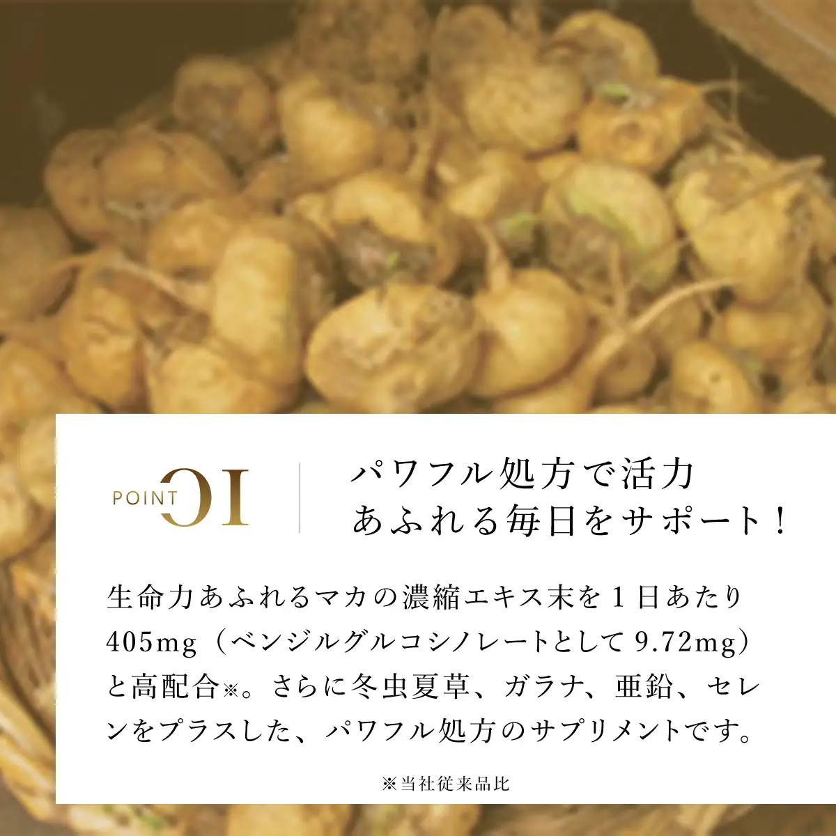 75909_DHC マカ 30日分 2個セット（60日分） MBB024