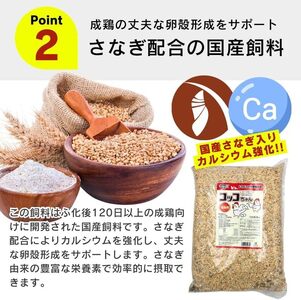 コッコちゃん 成鶏用 さなぎ入 8.5kg_コッコちゃん 成鶏用 飼料 さなぎ入 8.5kg 成鶏 健康維持 さなぎ 配合 産卵 サポート 卵 カルシウム 豊富 国産 原料 タンパク質 ビタミン ミネラル アミノ酸 自然 農作物 キンケイ チャボ 烏骨鶏 鶏 福岡県 久留米市 送料無料 〔Pf081〕