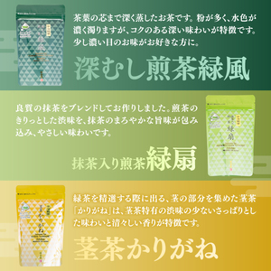 宇治銘茶ティーバッグ全種セット（9種10個入）067-17 お茶詰め合わせ お茶