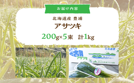 アサツキ 200g×5束 【2027年2月上旬以降順次発送】 