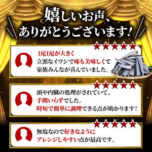 いわし ドレス 約3kg 無塩 【 訳あり 】