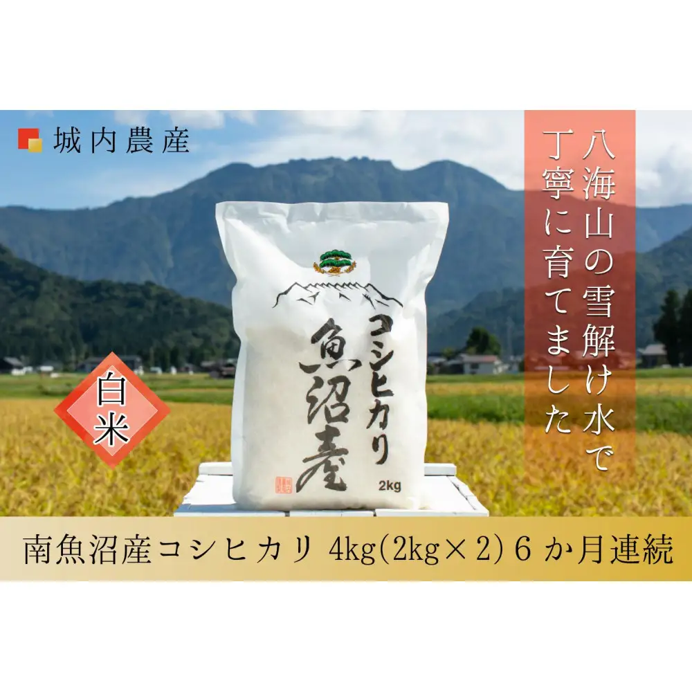 【令和７年産】城内農産【お米定期便/全６回】南魚沼産コシヒカリ　白米４kg（２ｋｇ×２）＜5割減農薬栽培米＞【定期便 銘柄米 ブランド米 精米 こしひかり コシヒカリ 魚沼産 新潟米 産地直送 お米 米 こめ コメ ご飯 御飯 ごはん】