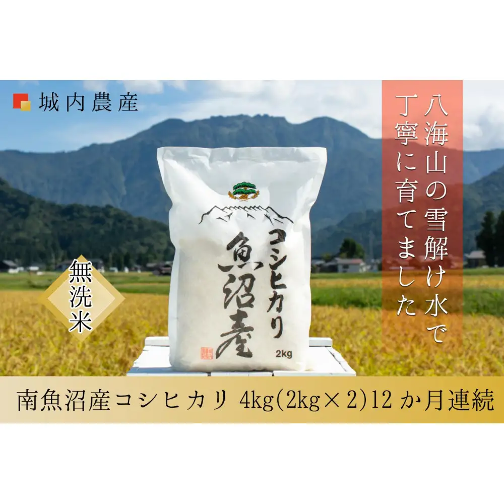 【令和７年産】城内農産【お米定期便/全１２回】南魚沼産コシヒカリ　無洗米４kg（２ｋｇ×２）＜5割減農薬栽培米＞【定期便 銘柄米 ブランド米 無洗米 こしひかり コシヒカリ 魚沼産 新潟米 産地直送 お米 米 こめ コメ ご飯 御飯 ごはん】