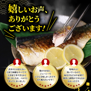 訳あり さば 塩鯖約5kg規格外 サバ 旭市