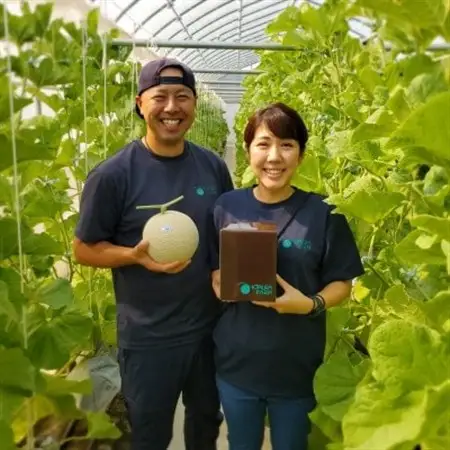 【まるでメロン!驚異の果汁70%】まんまジェラート ～マスクメロン～ 100ml×5個【配送不可地域：離島】【1494650】