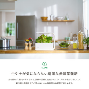 IZUMI　水耕栽培キット Hugvege　SA-H133A-W　（本体、培地スポンジ、液肥、ランダムタネ2種類）