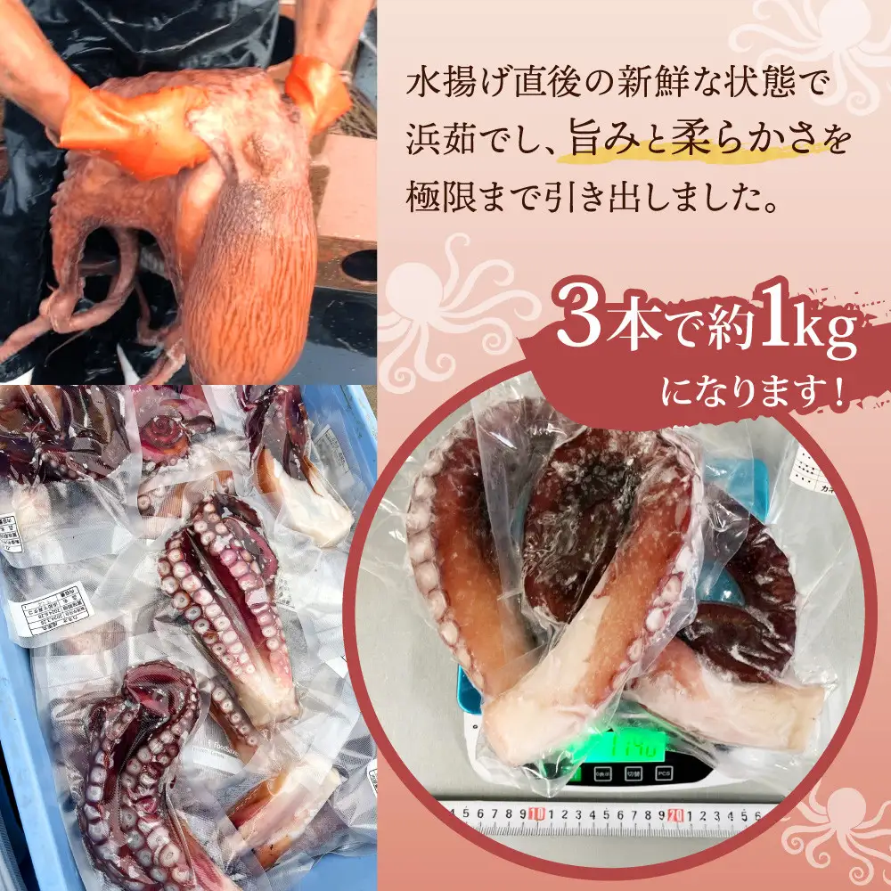 【ふるなびWEEK対象】浜ゆでタコ足 1kg　タコ