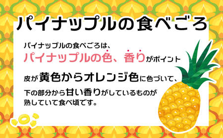 2026年発送【道の駅許田】ゴールドバレル1玉　先行予約 パイナップル パインアップル パイン フルーツ 果物 果実 くだもの スイーツ 先行予約 産地直送 お取り寄せ お土産 人気 高級 贅沢 旬の果物 おすすめ 沖縄 国産 南国