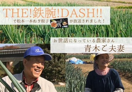 【定期便3回】【伝統野菜松本一本ねぎ使用】松本一本ねぎ餃子　20個入り×2 
