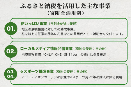 【返礼品なしの寄附】宮崎県椎葉村（1口：2,000円）