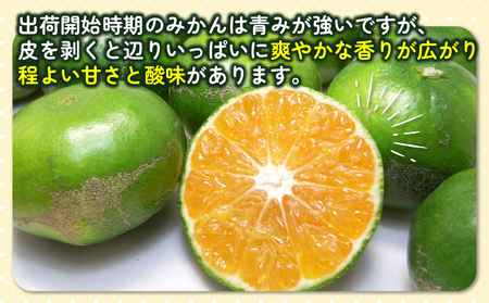 温州みかん 訳あり 極早生 7kg 杉本屋 温州みかん B010-143022