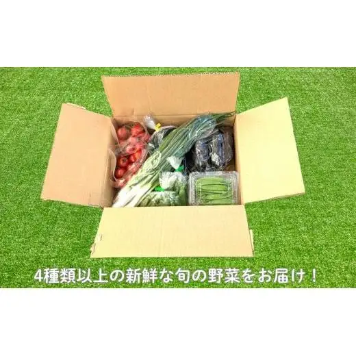 旬のおまかせ野菜セット　4種類以上 ／ 野菜 やさい 旬の野菜 セット 詰め合わせ