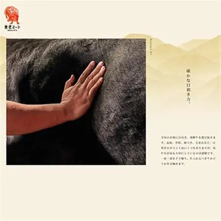 飛騨牛 サーロインブロック 5kg【配送不可地域：離島】【1622929】