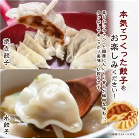 秀餃子 120個(40×3箱)2.4kg 国産野菜と肉の新鮮さにこだわった本気のぎょうざ 国産 冷凍_餃子 冷凍 大容量_【配送不可地域：離島】【1622598】