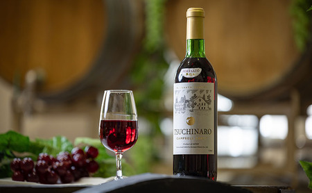 是里 ワイン 果実酒 キャンベル赤 720ml  2本 岡山 赤磐市 お酒