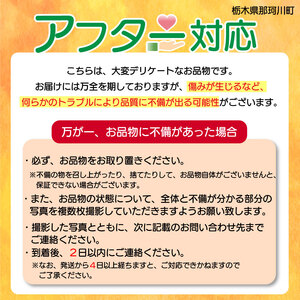 【先行予約】完熟 甘さ抜群のゴールド系 キウイフルーツ 約1kg | 果物 くだもの フルーツ 野菜 やさい ヤサイ キウイ きうい ゴールドキウイ ごーるどきうい 新鮮 フレッシュ 甘い 美味しい フルーツ デザート 栃木県 那珂川町 送料無料