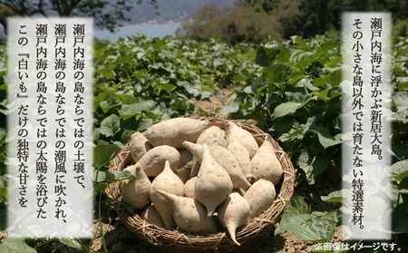 【先行予約】【数量限定】 新居浜大島産 幻のさつまいも 『白いも』 2kg 七福芋 白芋 希少