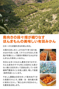 こだわりの 有田 みかん 8kg＋150g(傷み補償分) 【ご家庭用】※北海道・沖縄・離島配送不可 ※2026年12月発送予定 【nuk004-c-8-decH】