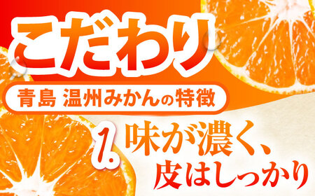 【2027年1月-発送】青島 温州みかん 10kg [SCQ003] みかん