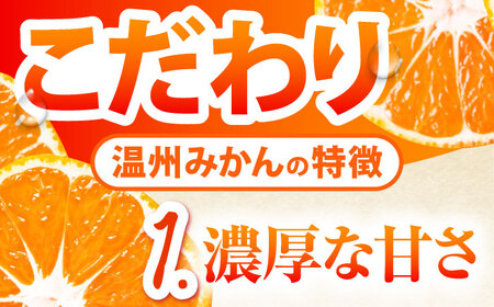 【2026年10月下旬-発送】【2回定期便】温州みかん 食べ比べ 10kg×2回 [SCQ004] 柑橘みかん オレンジみかん