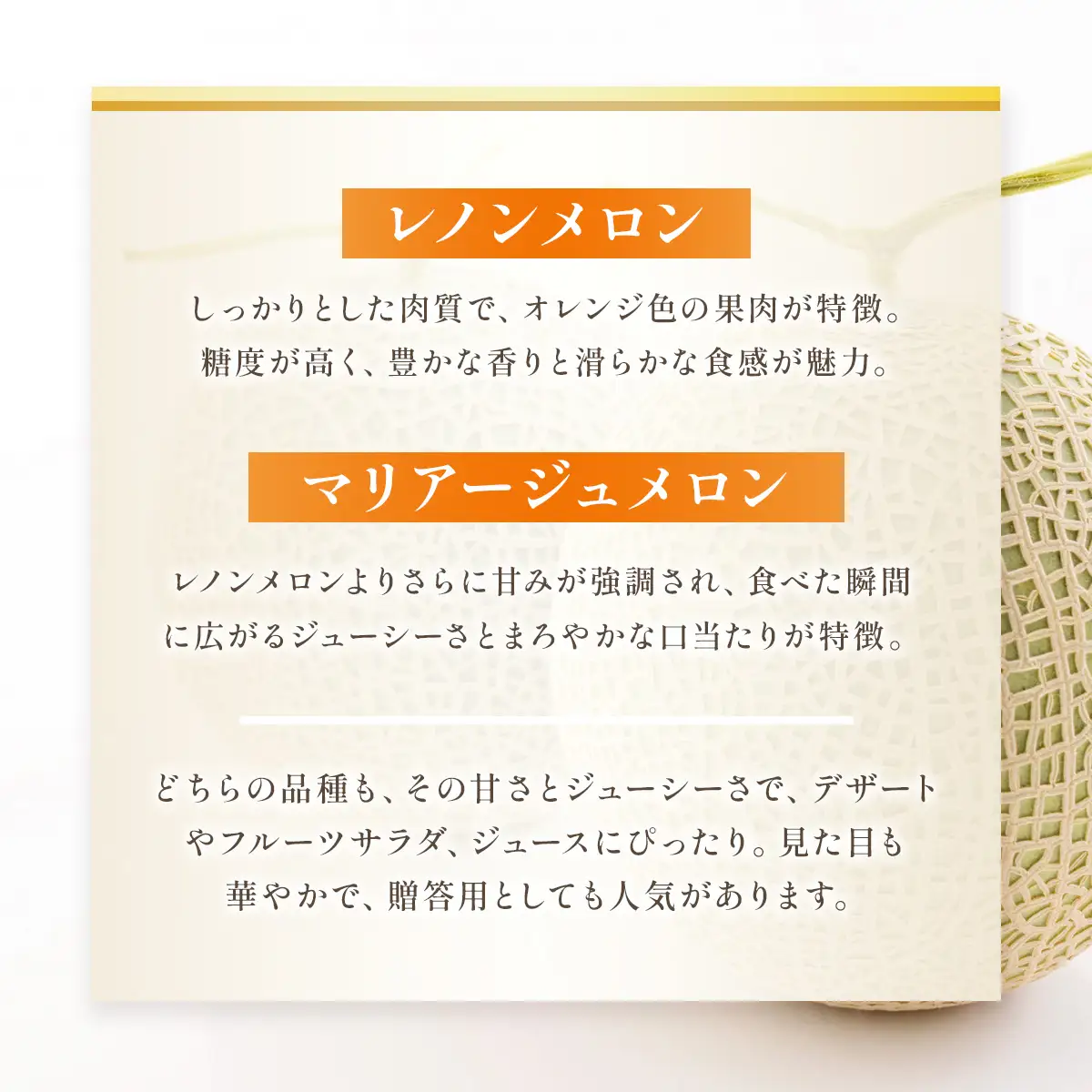 【先行予約】赤肉メロン（レノンまたはマリアージュメロン）約1.3kg 果物 くだもの 旬 ご褒美 季節の果物 赤肉 メロン 八代市産 【2026年6月中旬より順次発送】