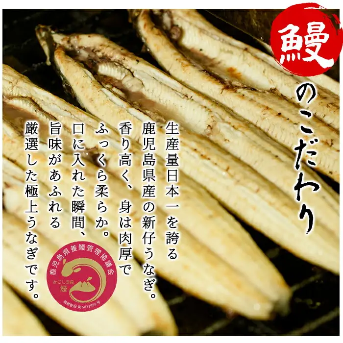 【お中元】国産 うなぎ 白焼き 大 3尾 約480g うなぎ【00-025-08-R8OC】