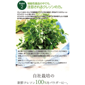 奥久慈クレソンの最強野菜粉末「クレソンパウダー」2袋｜茨城県 大子町 最強野菜 無添加 ビタミン カルシウム 健康 美容（BE008）