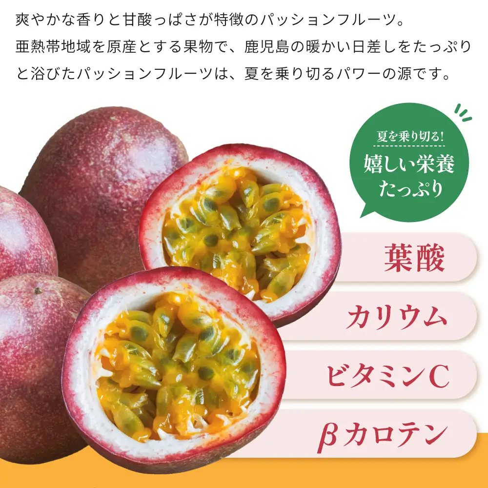 鹿児島県産 パッションフルーツ 約1kg（10～12個程度×1箱） ［数量・期間 限定 ］ 先行予約 先行受付 国産 フルーツ 果物 くだもの 青果 食品 デザート スイーツ おやつ 旬 夏 季節限定 季節の果物 酸味 甘み プチプチ 南国 トロピカルフルーツ 南国フルーツ お取り寄せ グルメ 農園 農園直送 農家直送 産地直送 清直kajuen 鹿児島 鹿児島県 南さつま市