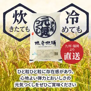 九州・福岡からお届け！ブランド米「元気つくし」5kg×1袋 お米 米 コメ 白米 特A 直送 お弁当 おにぎり 炊きたて ツヤ 粘り もちもち 弾力 卵かけご飯 福岡県 八女市 072-333