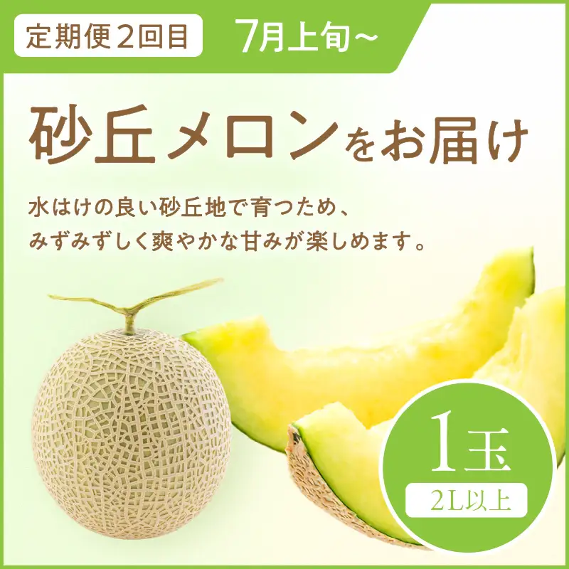 【先行予約】道の駅がおすすめする夏のフルーツ定期便～すいか・メロン～
