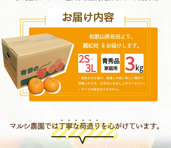 BF6063_【2027年先行受付】麗紅柑 (れいこう) 青秀品 (家庭用) 2S～3Lサイズ 3kg 和歌山有田産