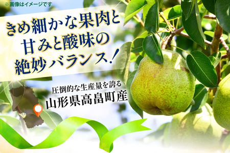 【期間限定発送】 ラ・フランス 山形県 3L?4L 3玉 約1kg [三鷹洋梨園 山形県 高畠町 tk06ays910004]