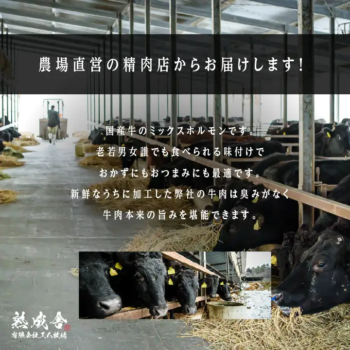 熟成牛 味付きミックスホルモン 1kg（500g×2袋） 【有限会社エム牧場】