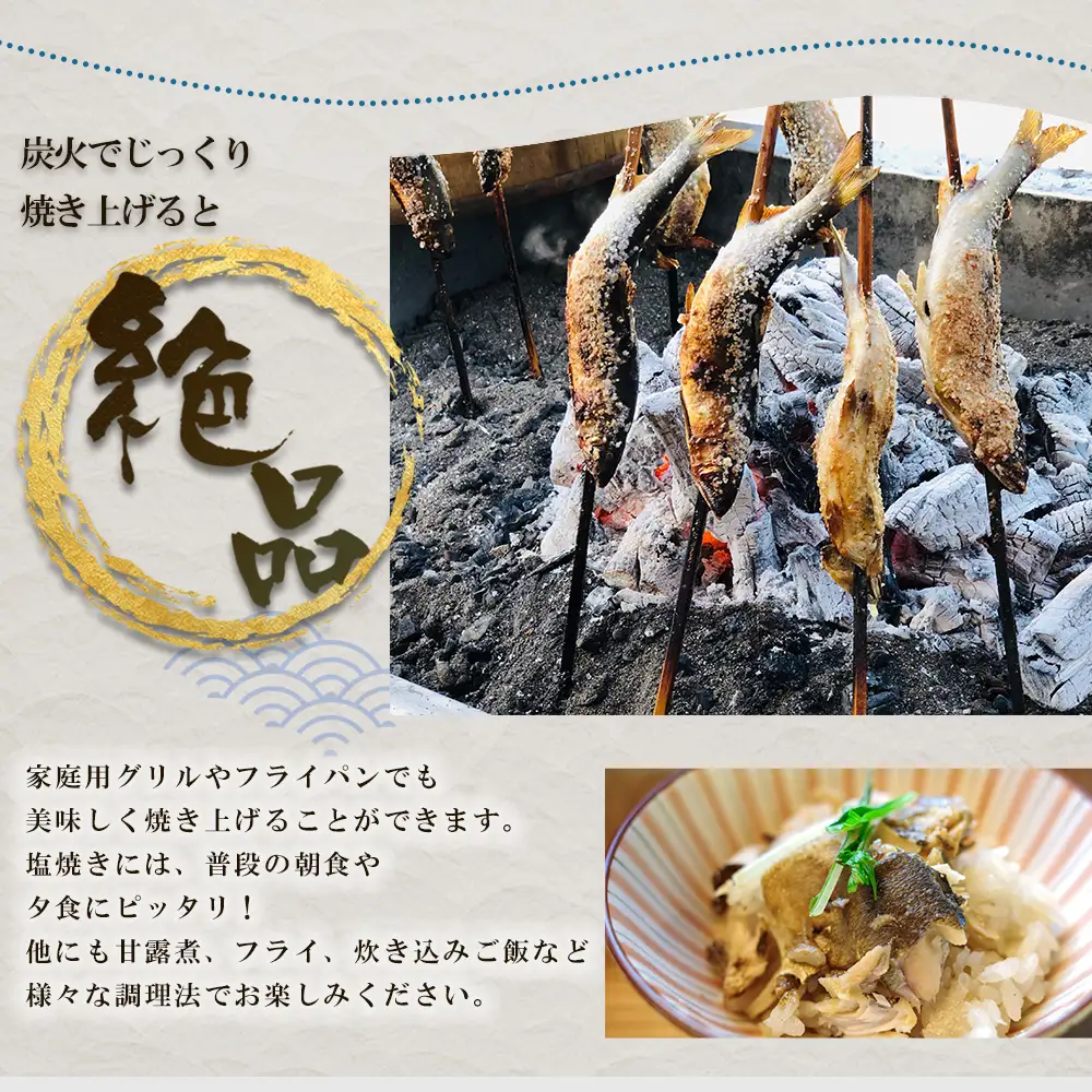 冷凍鮎　約300g 3E4