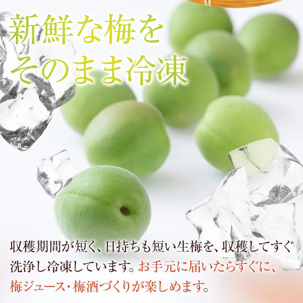 冷凍 紀州南高梅 青梅 約2kg L～4Lサイズ混合 ご家庭用