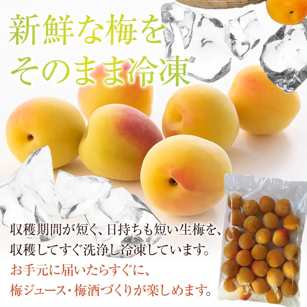 冷凍 紀州南高梅 完熟梅 約2kg L～4Lサイズ混合 ご家庭用