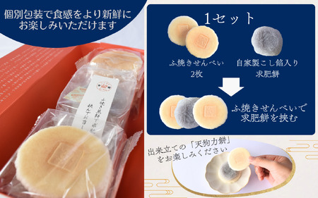 【6ヶ月定期便】老舗の味 天狗力餅20個入×6ヶ月 / 定期便　和菓子　力もち　こし餡　職人の手作り / 銘菓 和菓子 こしあん 由良町 お取り寄せ お土産 ギフト 和歌山県【knkd-tkb003】