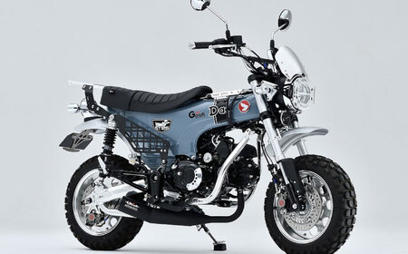 DAX125（JB04/JB06）　ダウンチューブキット / カスタム バイクカスタム カスタムパーツ　DAX125 ダウンチューブ ドレスアップ 純正エンジン対応 亀山市/有限会社ギルドデザイン [AMAA038]