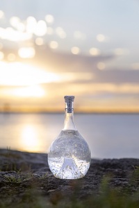 0087-97-01 富士の酒 「飛竜乗雲」 -純米大吟醸- 900ml