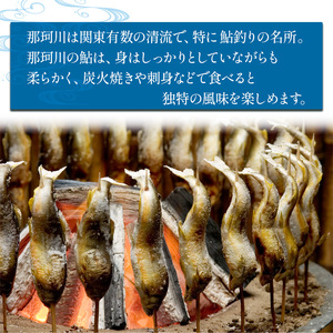 【2026年先行予約】【9月～10月旬の鮎をお届け】子持ちあゆ（塩焼き）　発送日当日池上げした活鮎を焼いてお届け | 子持ちあゆ 塩焼き 活鮎 子持ちあゆ 塩焼き 9月～10月 新鮮子持ち鮎 旬の子持ち鮎 塩焼きお取り寄せ 池上げ当日子持ち あゆ  直送 旬 ギフト ふるさと納税栃木県 那珂川町 送料無料