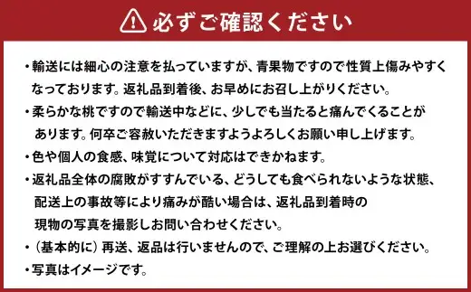 【ご家庭用】 岡山白桃 4~5玉 計約1.2kg 【2026年6月下旬～7月下旬発送予定】 ／ 白桃 桃 もも モモ