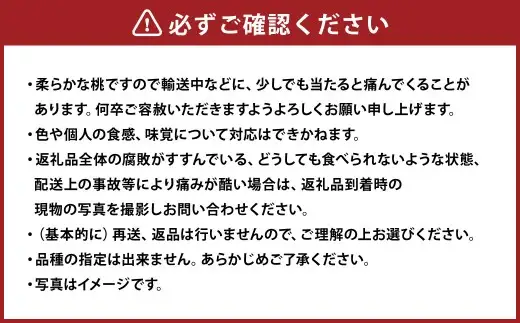 【ご家庭用】 岡山白桃 晩生 4～5玉 計約1.2kg 【2026年8月下旬発送予定】 ／ 白桃 桃 もも モモ