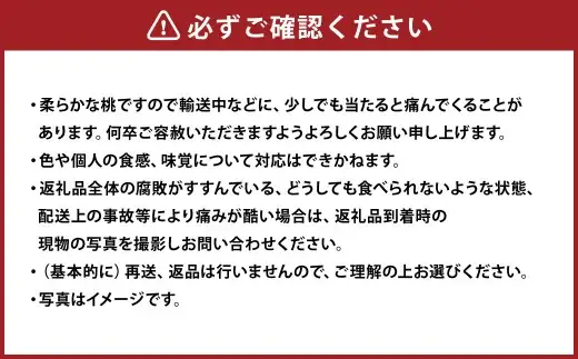 清水白桃 エース 3玉 約750g 【2026年7月上旬～7月下旬発送予定】 ／ 白桃 桃 もも モモ