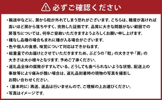 シャインマスカット 2房 約1.2kg 【2026年9月上旬～10月下旬発送予定】 ／ マスカット 葡萄 ブドウ 種無し 種なし