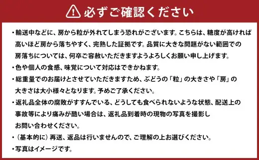 シャインマスカット 1房 約700g 【2026年9月下旬～10月上旬発送予定】 ／ マスカット 葡萄 ブドウ 種無し 種なし